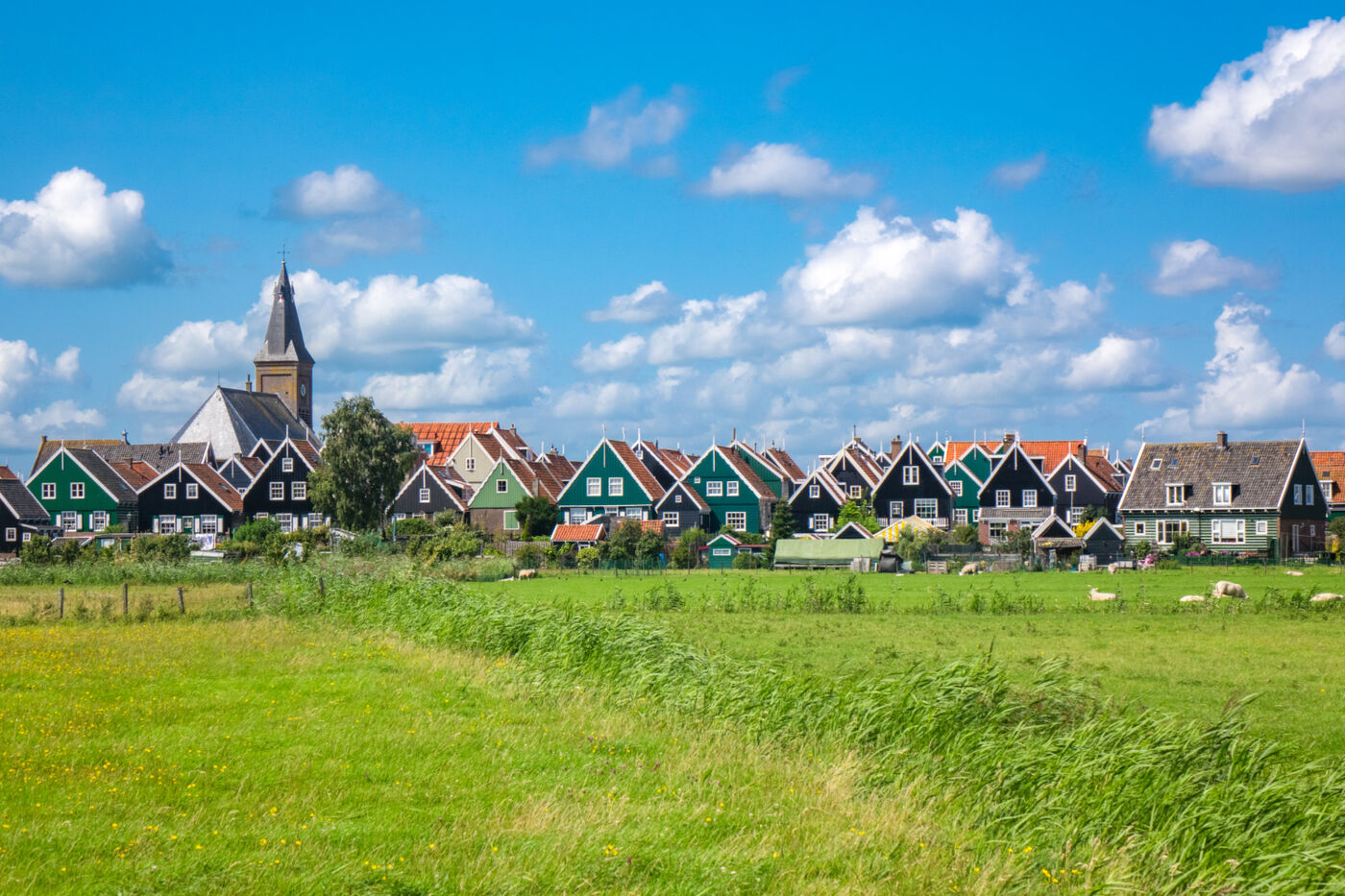 Taxibus Marken